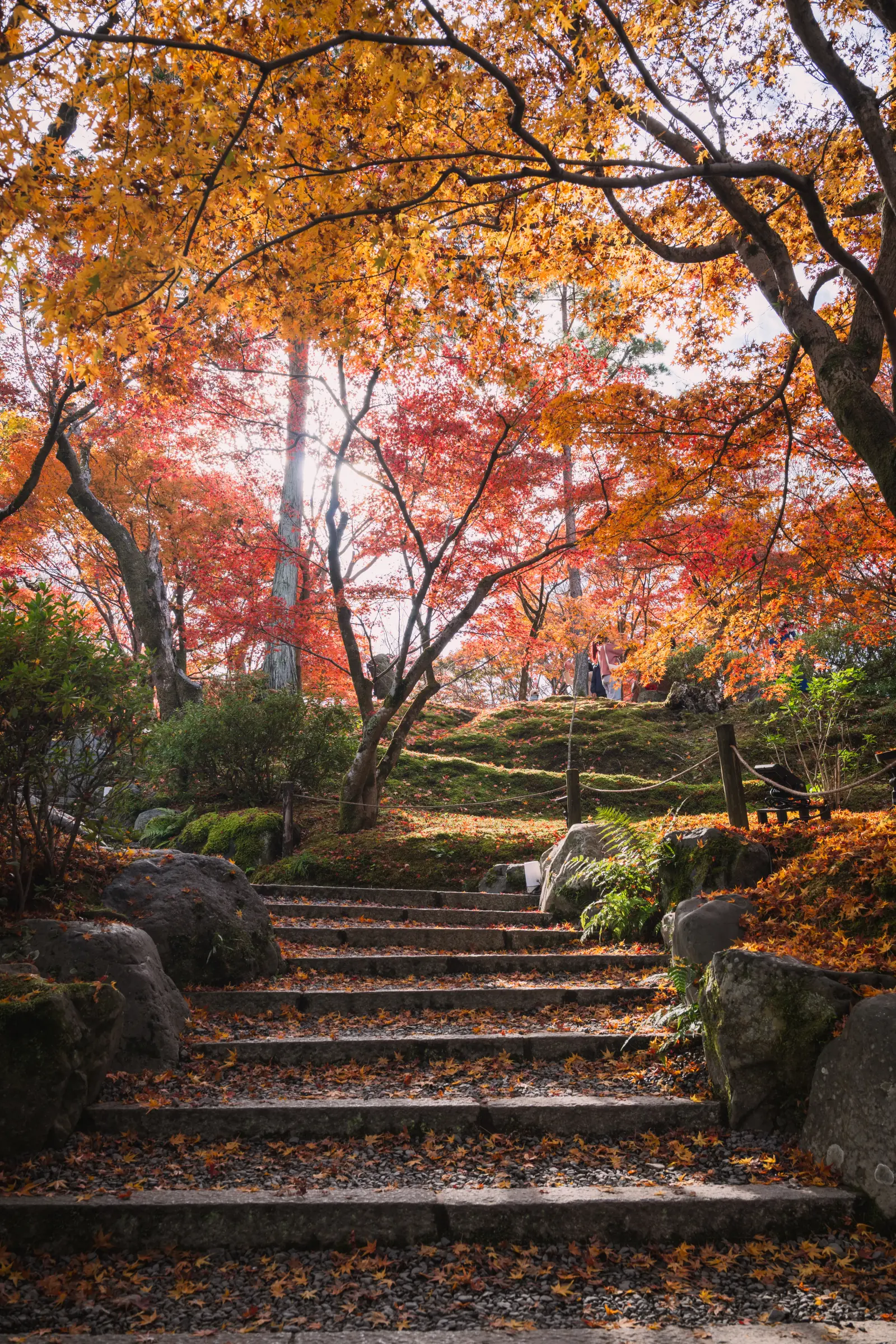 东福寺红叶 · 09