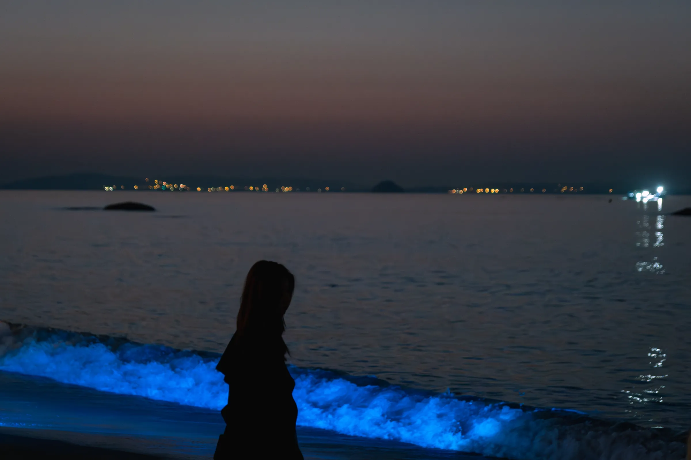 鹭岛日出